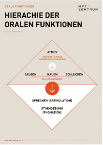 1. Nasenatmung mit Lippenschluss 2. Funktionen der Nahrungsaufnahme – Saugen, Kauen, Schlucken 3. Sekundäre Funktionen –Sprechen, Mimik, Stimme